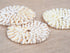 Creamy White Cowrie Shells Round Coaster Placemat - Set of 4